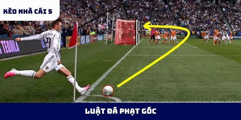luật đá phạt góc